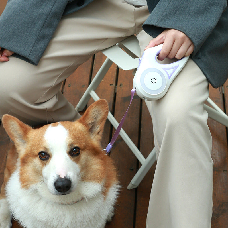correa retractil para perros con luz led mas collar
